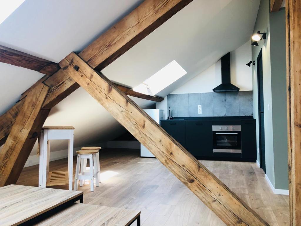 Les Appartements De Romain Et Julien Dijon Exteriör bild