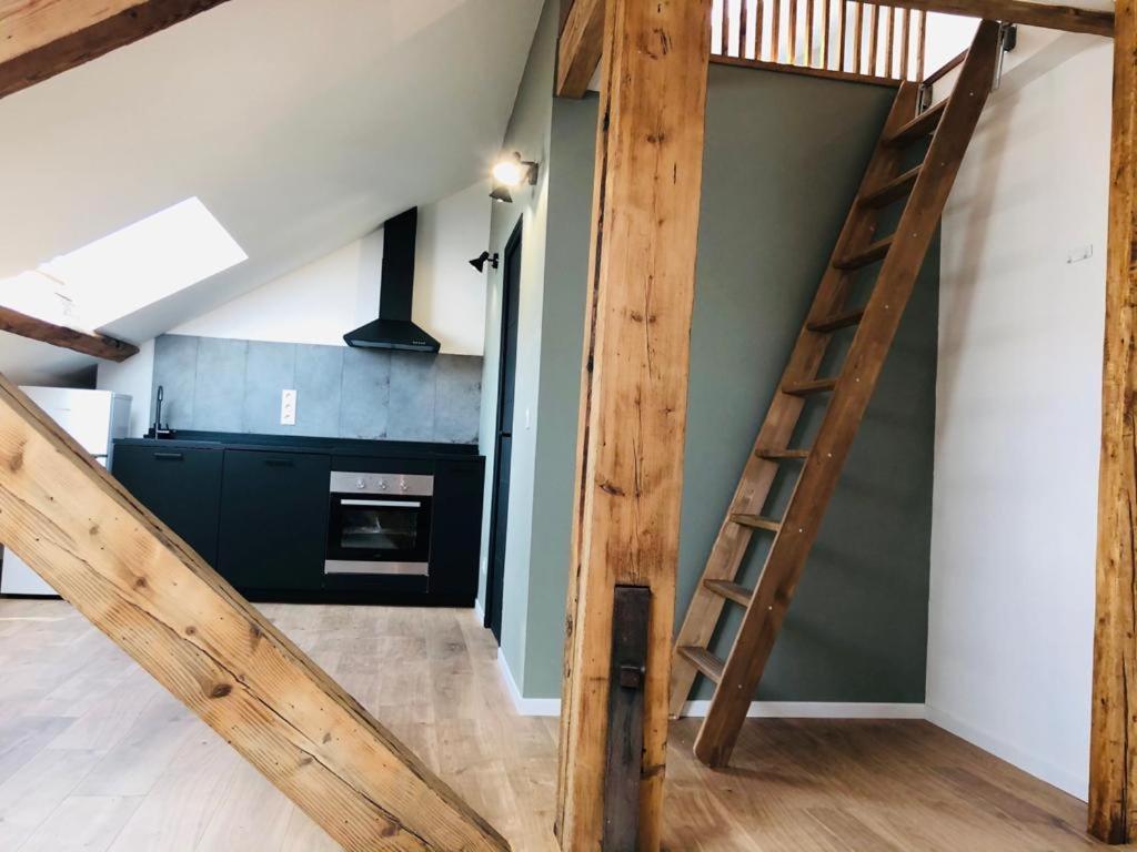 Les Appartements De Romain Et Julien Dijon Exteriör bild