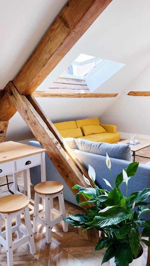Les Appartements De Romain Et Julien Dijon Exteriör bild
