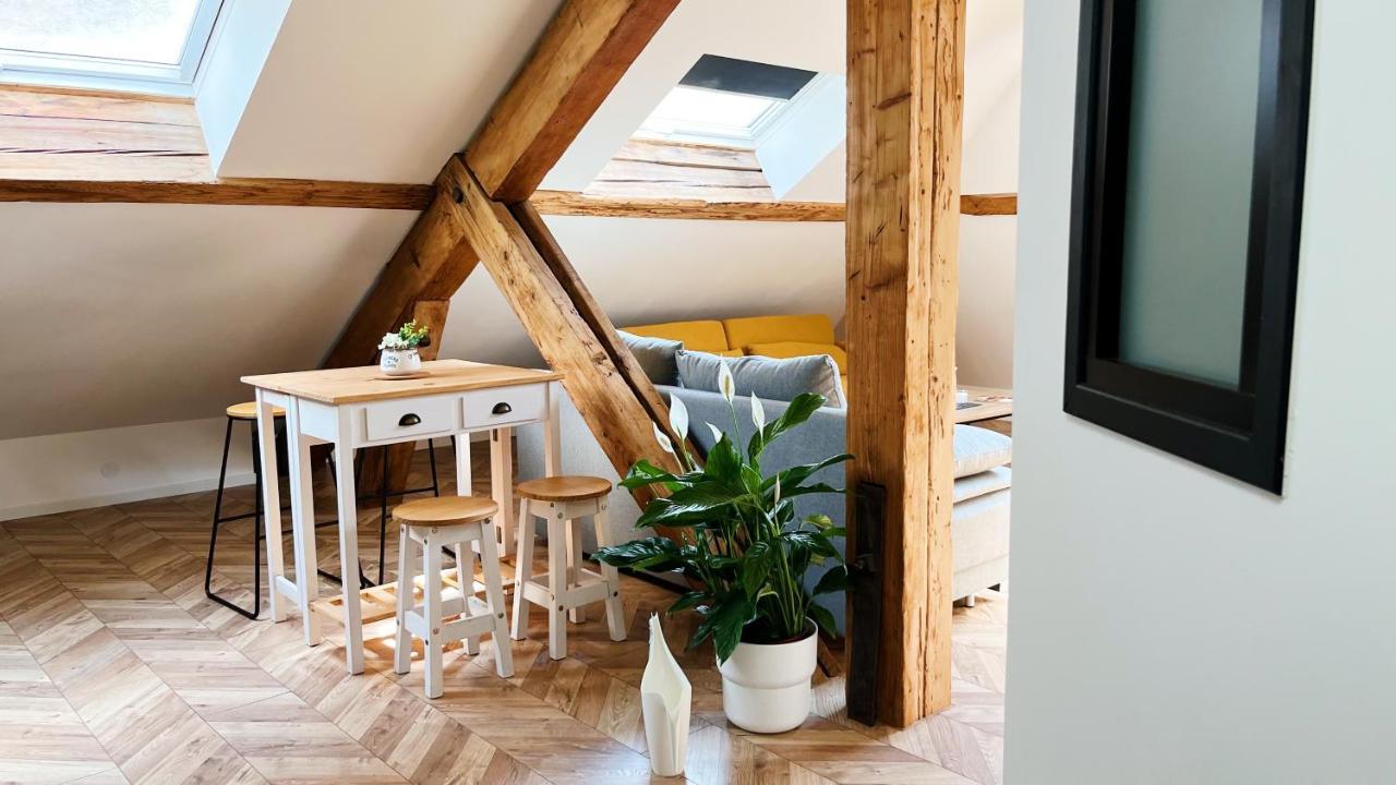Les Appartements De Romain Et Julien Dijon Exteriör bild