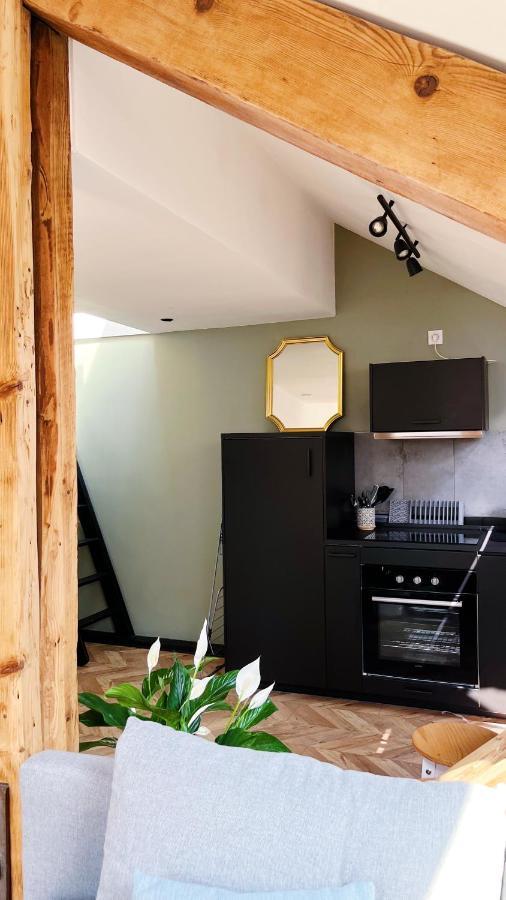 Les Appartements De Romain Et Julien Dijon Exteriör bild