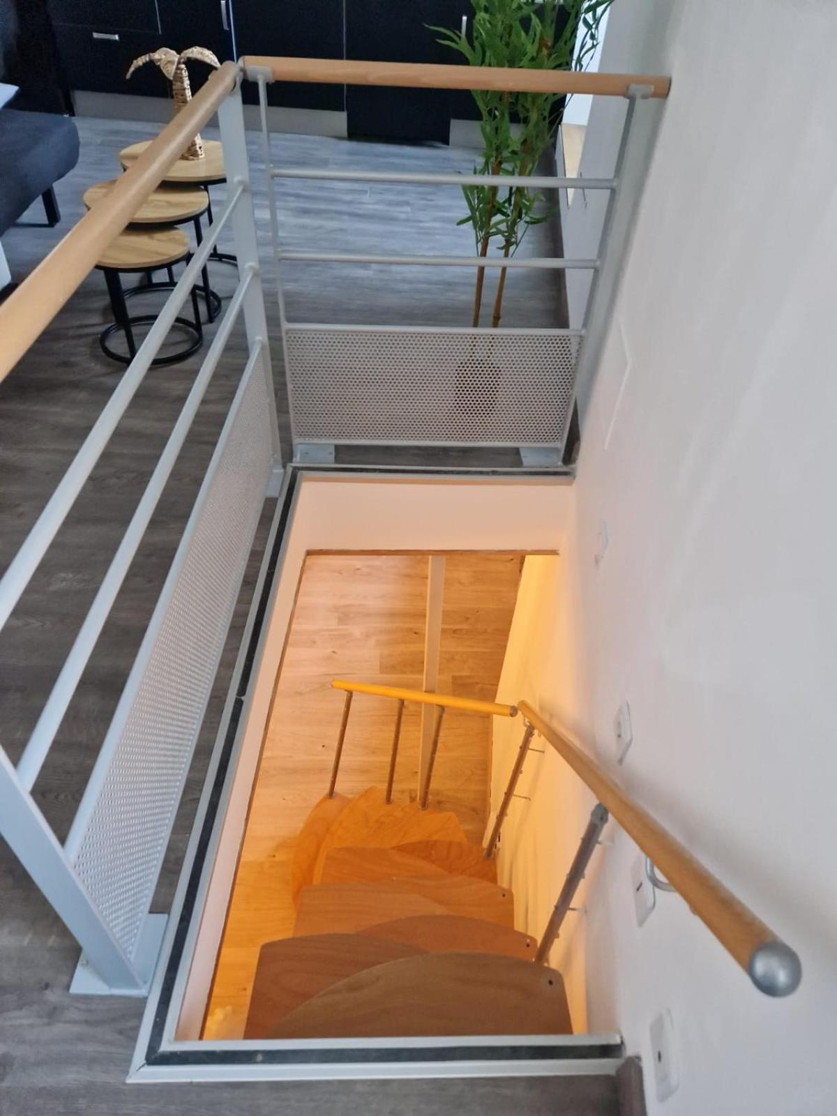 Les Appartements De Romain Et Julien Dijon Exteriör bild
