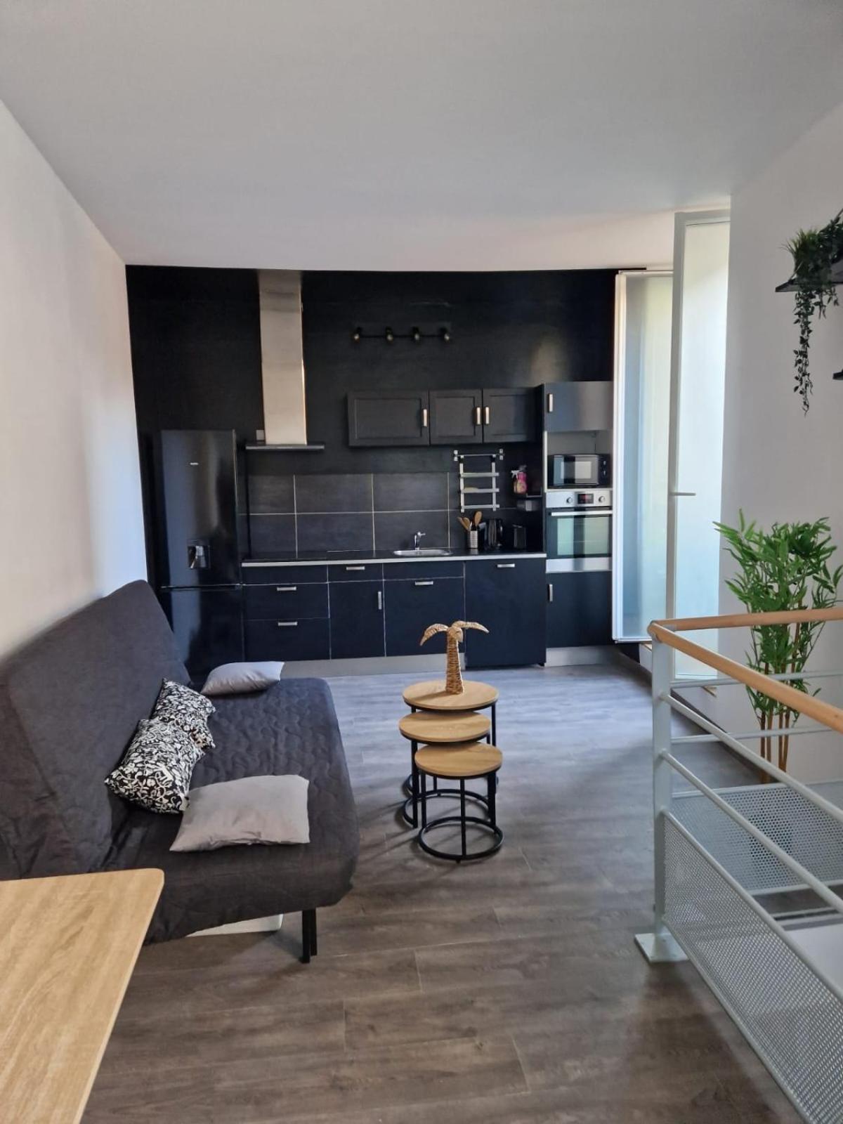 Les Appartements De Romain Et Julien Dijon Exteriör bild