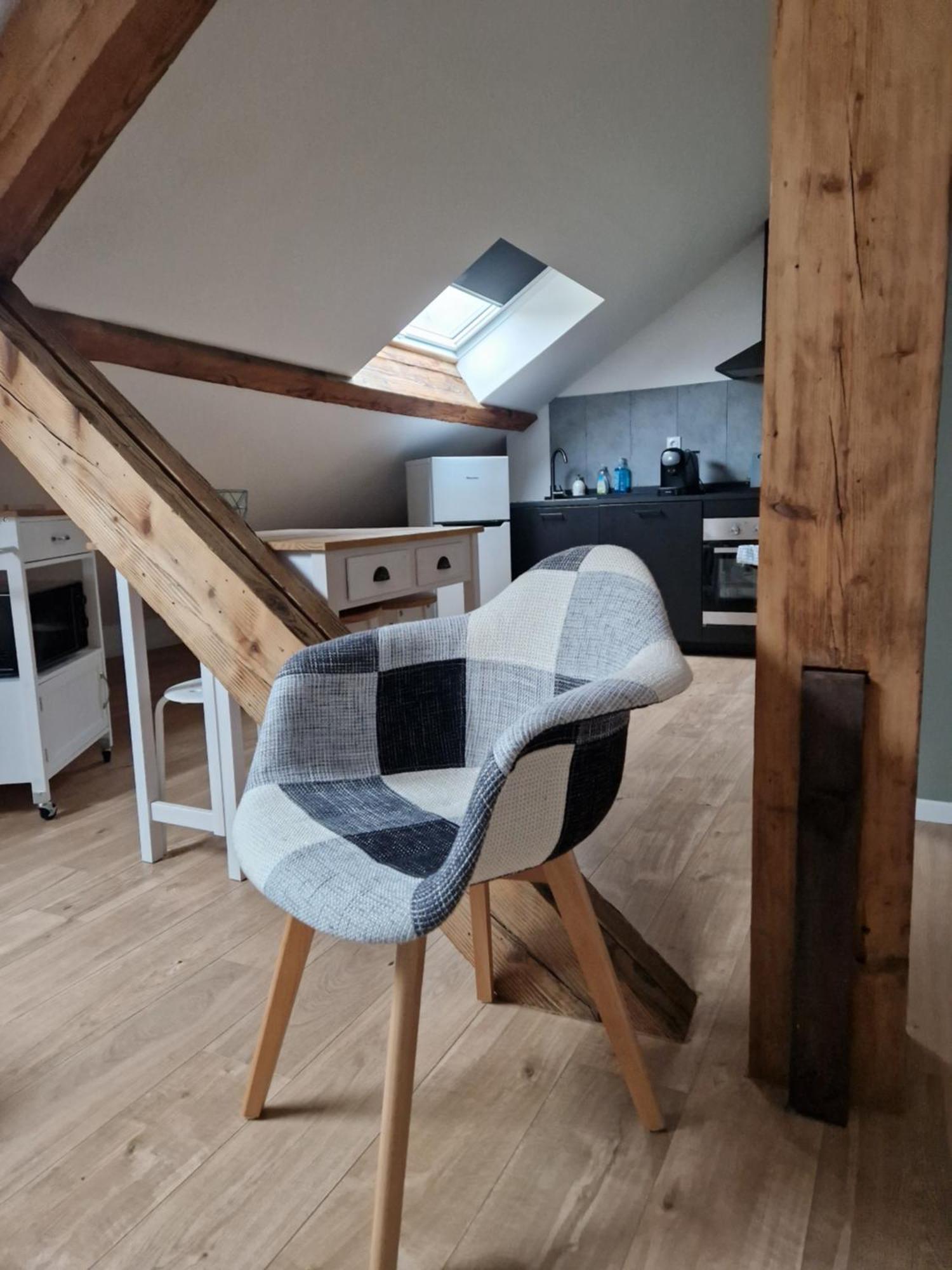 Les Appartements De Romain Et Julien Dijon Exteriör bild