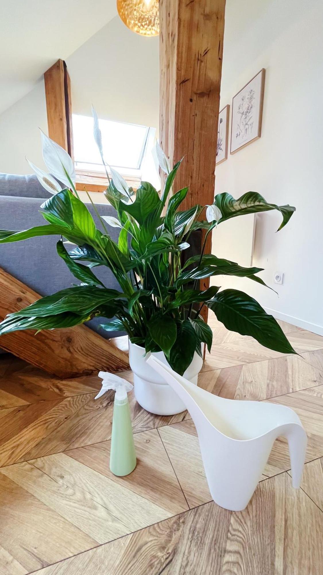 Les Appartements De Romain Et Julien Dijon Exteriör bild