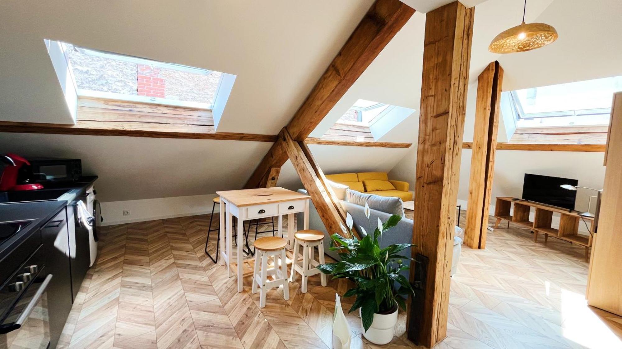 Les Appartements De Romain Et Julien Dijon Exteriör bild