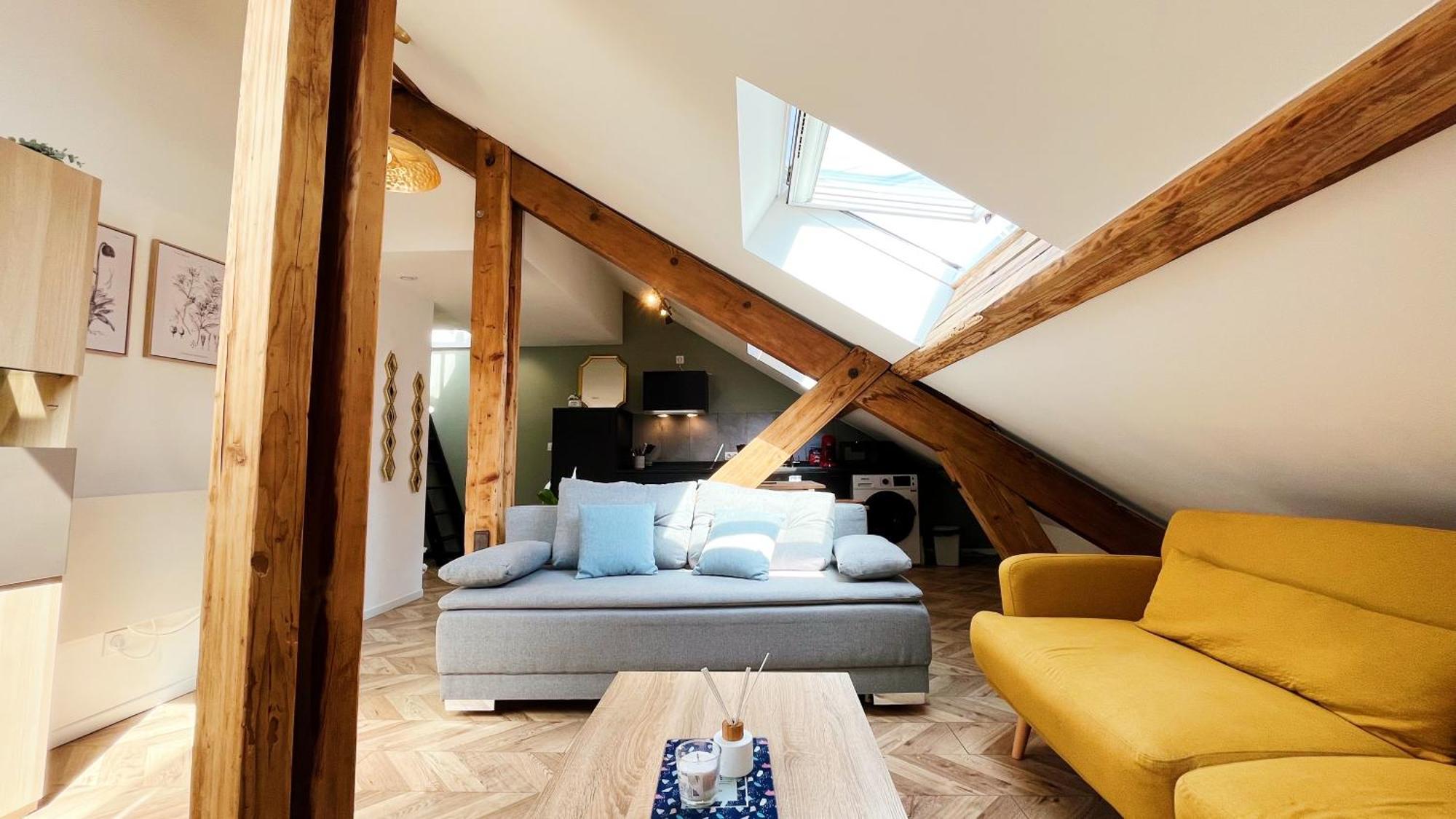 Les Appartements De Romain Et Julien Dijon Exteriör bild