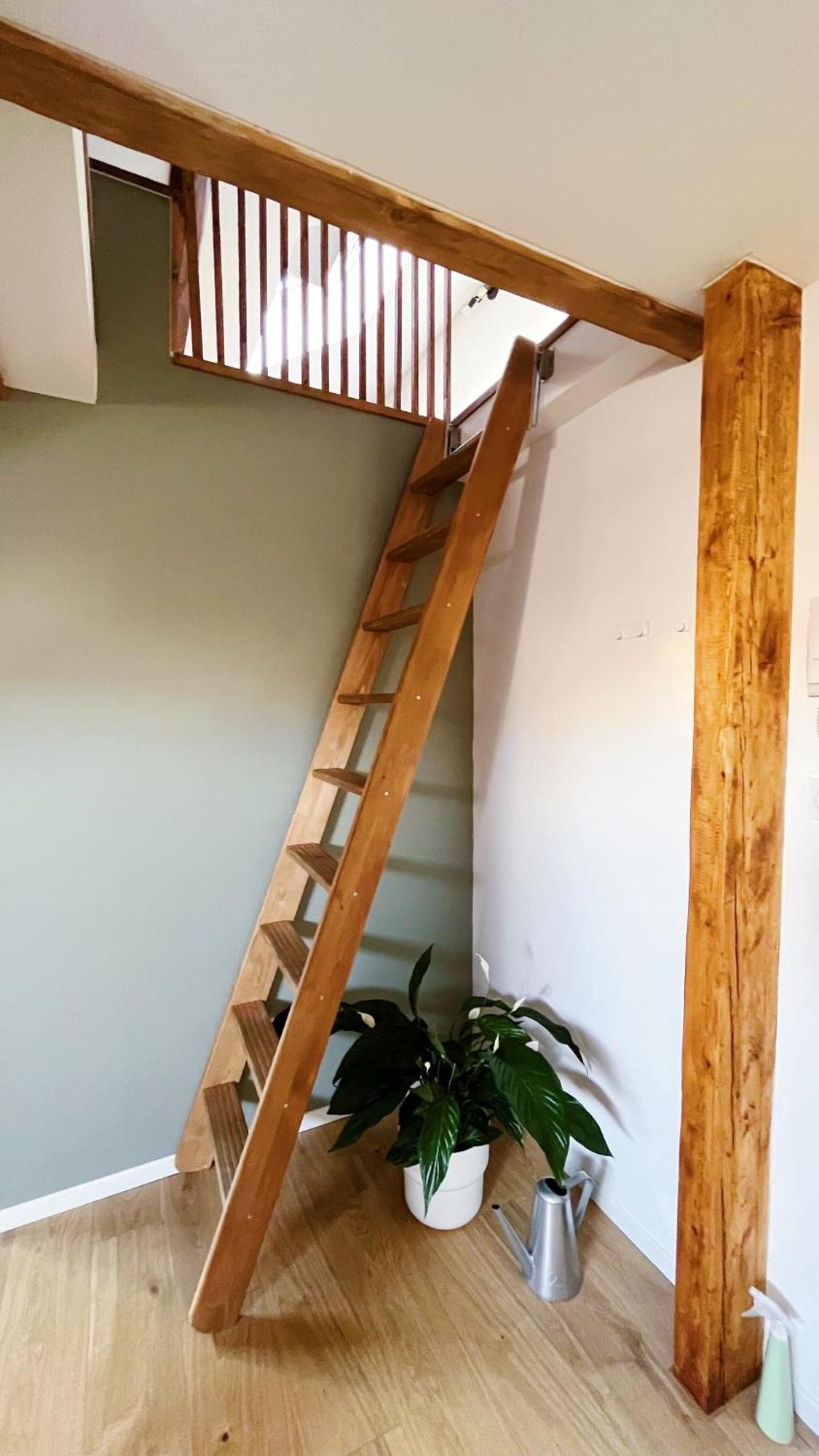 Les Appartements De Romain Et Julien Dijon Exteriör bild