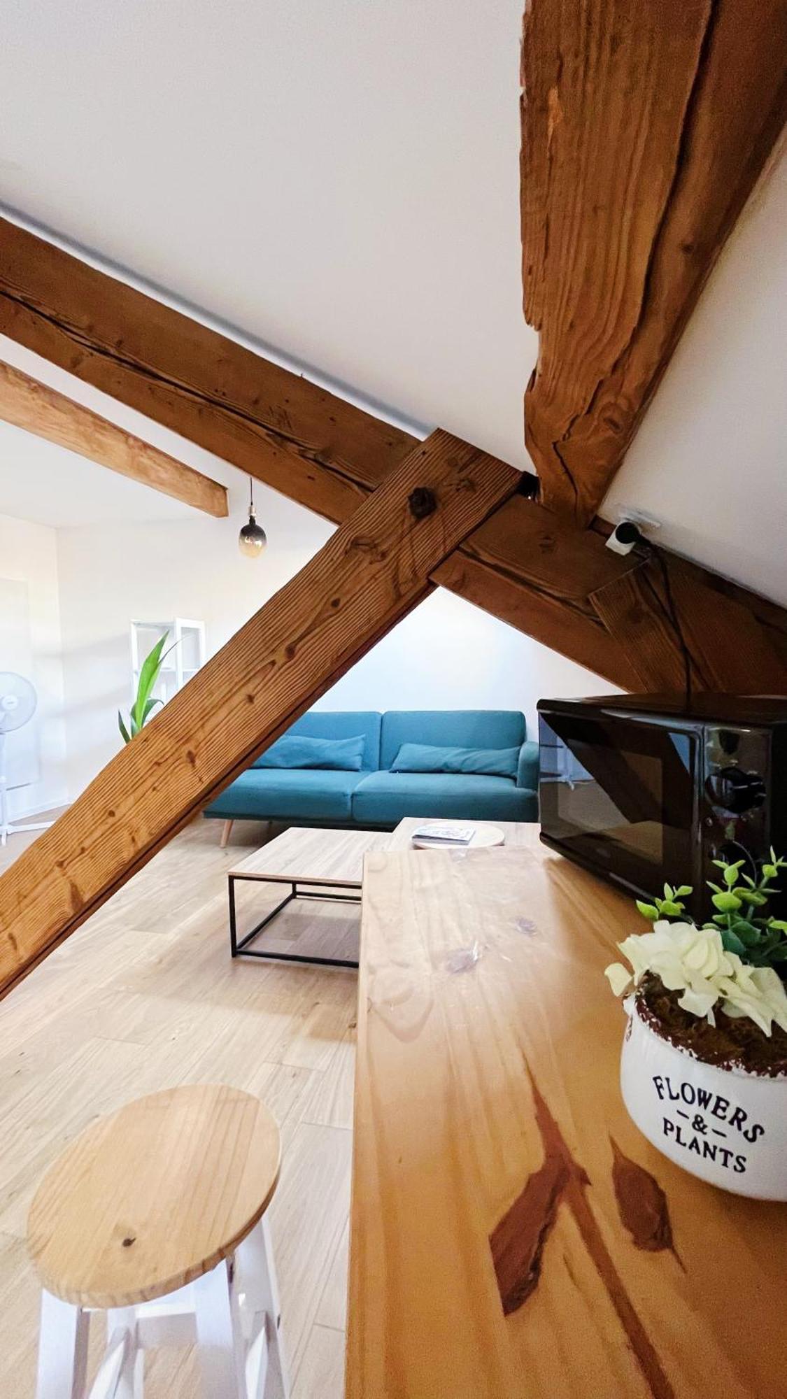Les Appartements De Romain Et Julien Dijon Exteriör bild