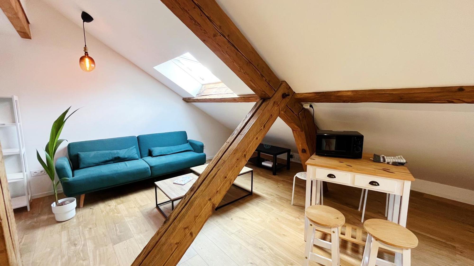 Les Appartements De Romain Et Julien Dijon Exteriör bild