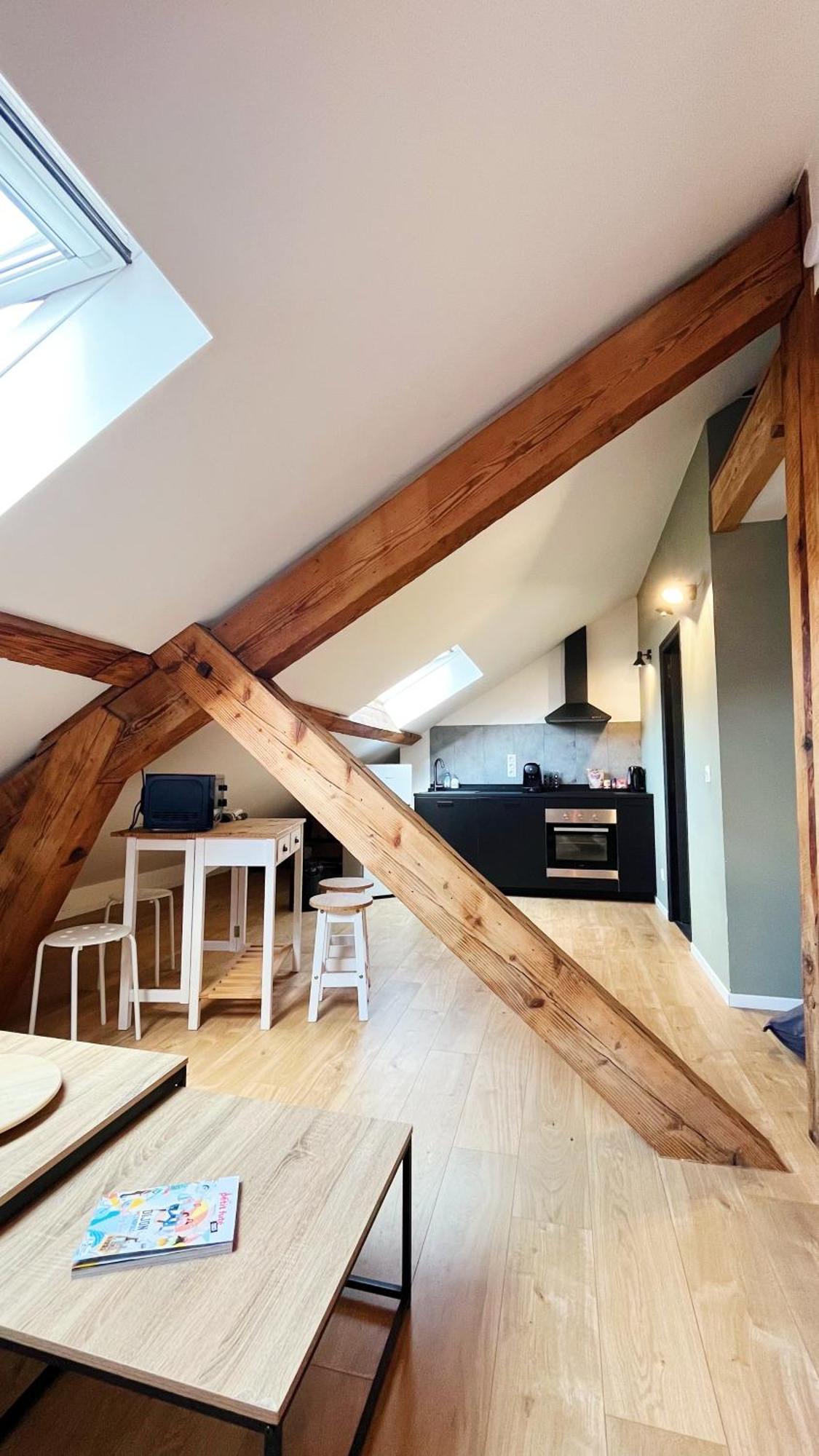 Les Appartements De Romain Et Julien Dijon Exteriör bild