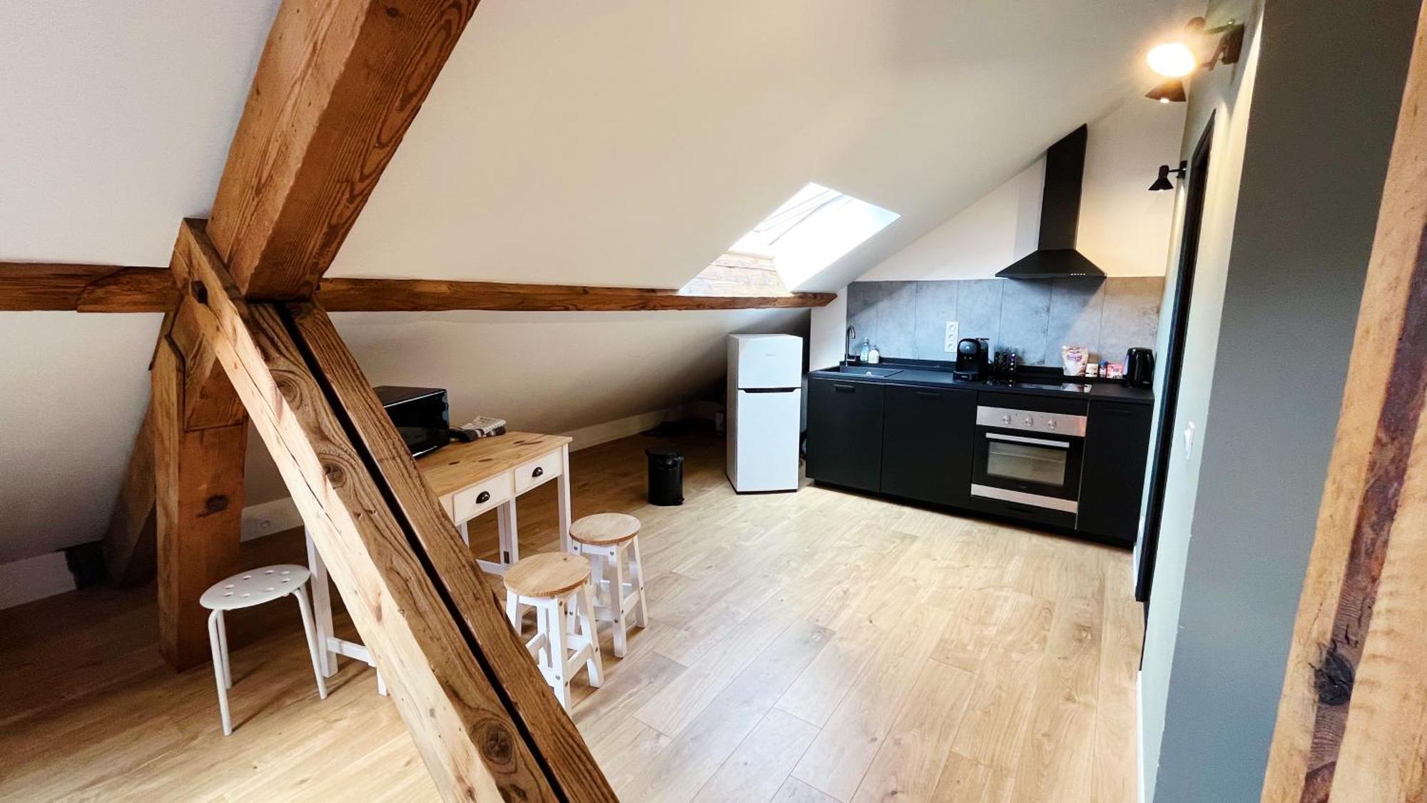 Les Appartements De Romain Et Julien Dijon Exteriör bild